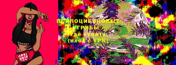 СК Бронницы