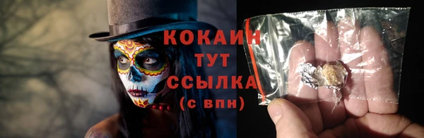 СК Бронницы